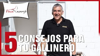 5 Consejos para tu Gallinero 🐓 [upl. by Ariamo386]