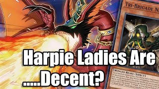 Harpie Lady Deck Profile  July 2024 [upl. by Ik]