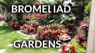 BROMELIAD GARDENS [upl. by Otero]