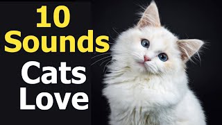 10 Sounds Cats Love To Hear The Most [upl. by Colwin]