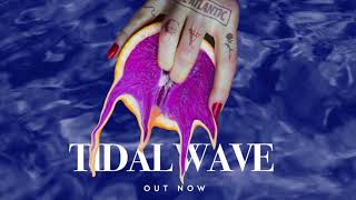 Chase Atlantic  Tidal Wave Official Lyric Video [upl. by Stratton]