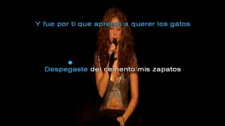 ANTOLOGIA shakira  version KARAOKE [upl. by Rauscher]