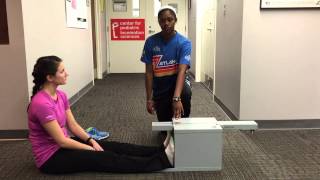 ACSM Sit amp Reach Test [upl. by Erodroeht]