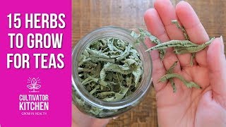 15 Herbs I Grow for Teas Frugal Healthy Living 🌿 [upl. by Suckow]