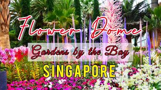 FLOWER DOME Gardens by the Bay Singapore [upl. by Eanom]