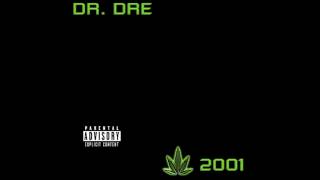 Dr Dre ft Snoop Dogg  Still DRE HQ Lyrics [upl. by Immij446]