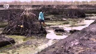 Nigeria Oil pollution in the Niger Delta  Global 3000 [upl. by Ennylcaj]