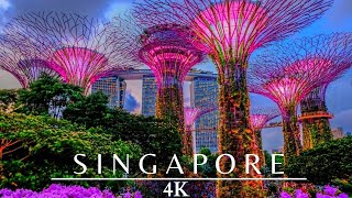 Singapore 4K Night 🇸🇬 Gardens By The Bay [upl. by Garnett605]