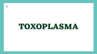 Toxoplasma gondii  Toxoplasmosis  Life Cycle Diagnosis Treatment amp Prevention  MEDZUKHRUF [upl. by Helge]