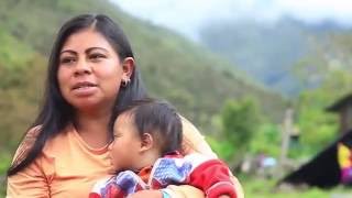 Documental Indígenas Uwa Colombia  Guardianes de la Madre Tierra [upl. by Kloman]