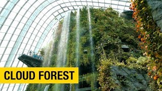 A Tour of Gardens by the Bay in Singapore Part 2 – Cloud Forest [upl. by Eentroc]