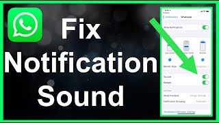 How To Fix WhatsApp Notification Sound EASY [upl. by Eellehs]