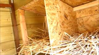 Como hacer un Gallinero Casero con madera reciclada [upl. by Idou]