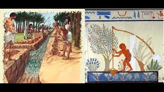 Ancient Egypt irrigation [upl. by Meingoldas]