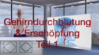 Gehirndurchblutung und Erschöpfung Teil 1 [upl. by Ellora]