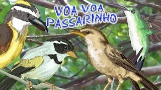 VOA VOA PASSARINHO  Vídeo Infantil  Desenho para Crianças [upl. by Mauricio]