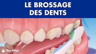 Comment brossage des dents correctement © [upl. by Phebe820]