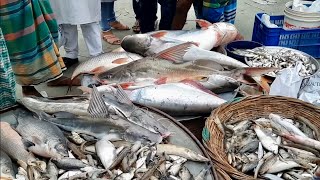 Chittagong fish Market [upl. by Hills]