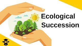 Ecological SuccessionPrimary and Secondary [upl. by Eliathas]