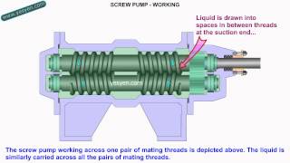 Screw Pump Working Animation [upl. by Ahsiemal135]