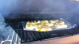 PIT BOSS PELLET GRILLE WHITE FISH GRILLING [upl. by Barhos]