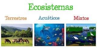 🌎 Los ECOSISTEMAS y sus TIPOS 🐝 Fácil y Rápido  BIOLOGÍA [upl. by Dewar]