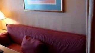 Zaandam Verandah Suite Stateroom Tour [upl. by Caniff]