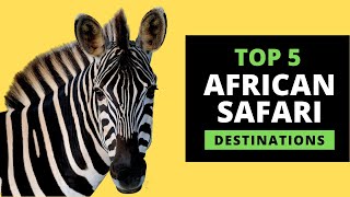 AFRICAN SAFARI DESTINATIONS  Top 5 Most Popular with prices [upl. by Dlorad417]