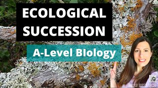 Ecological Succession Alevel biology Primary amp secondary succession ampeach seral stage explained [upl. by Niven52]