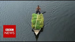 The Floating Farms of Bangladesh  BBC News [upl. by Vizza720]