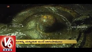 Hyderabad Shaan  History of Kishan Bhag Kashibugga Temple  V6 News [upl. by Artenek870]