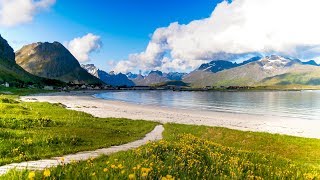 Uplifting Music  light positive happy music Gullrosøya  1 hour [upl. by Minda]