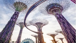 Gardens by the Bay Singapore Tour  Cloud Forest amp Flower Dome Supertrees Night Light Show Skyway [upl. by Gahl]