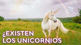 ¿CUAL es el ORIGEN de los UNICORNIOS 1 [upl. by Mines]