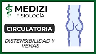 7 SISTEMA VENOSO ESTRUCTURA Y FUNCIÓN DEL SISTEMA CARDIOVASCULAR [upl. by Calica]