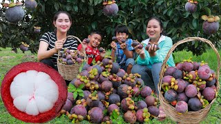 Pick Fresh Mangosteen For Eating  Happy Eating Fruit From the Tree  Fresh And Sweet Mangosteen [upl. by Oza997]