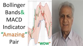 Bollinger Bands and MACD Combined Profitable Trading Power [upl. by Nnyleuqcaj408]