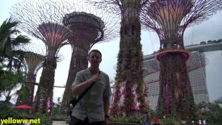 Singapore Gardens by the Bay Travel Guide [upl. by Aray]