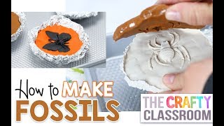 DIY Fossils for Kids [upl. by Narod443]