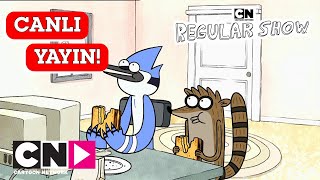 🔴 CANLI 🔴 SÜREKLİ DİZİ  2 Saatlik Maraton  Cartoon Network Türkiye [upl. by Ettezil693]