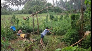 Laat or Shadoof water lifting irrigation [upl. by Jammal910]