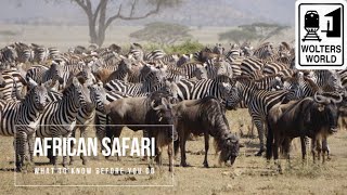 Safari Travel What to Know Before You Go on an African Safari [upl. by Karr]