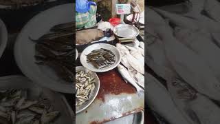 Why I’m Buying Freshwater Fish from the Village [upl. by Wun]