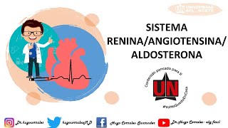 SISTEMA RENINA ANGIOTENSINA ALDOSTERONA FISIOLOGÍA [upl. by Reseda]