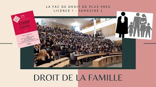 Révisions droit de la famille dune L1 en fac de droit [upl. by Lucy971]