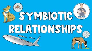 Symbiotic Relationships [upl. by Buhler]