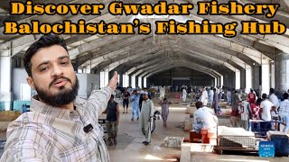 Inside Gwadar Fishery  Exploring Balochistan’s Fishing Industry [upl. by Pasquale]