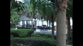 Sheraton Jumeirah Beach Resort in the Dubai Marina [upl. by Oruam437]