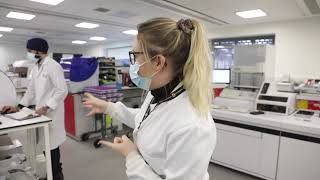 Insight into a Clinical Chemistry Lab [upl. by Keslie410]