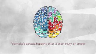 What Is Wernickes Aphasia [upl. by Airotciv276]